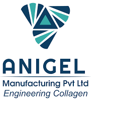 Anigel logo